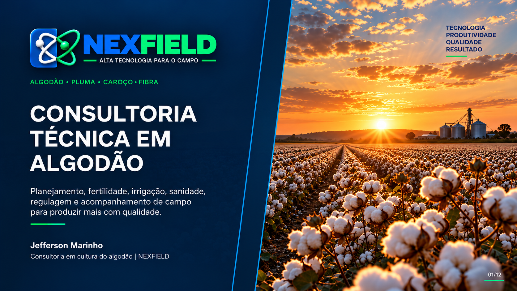 Consultoria em Algodão