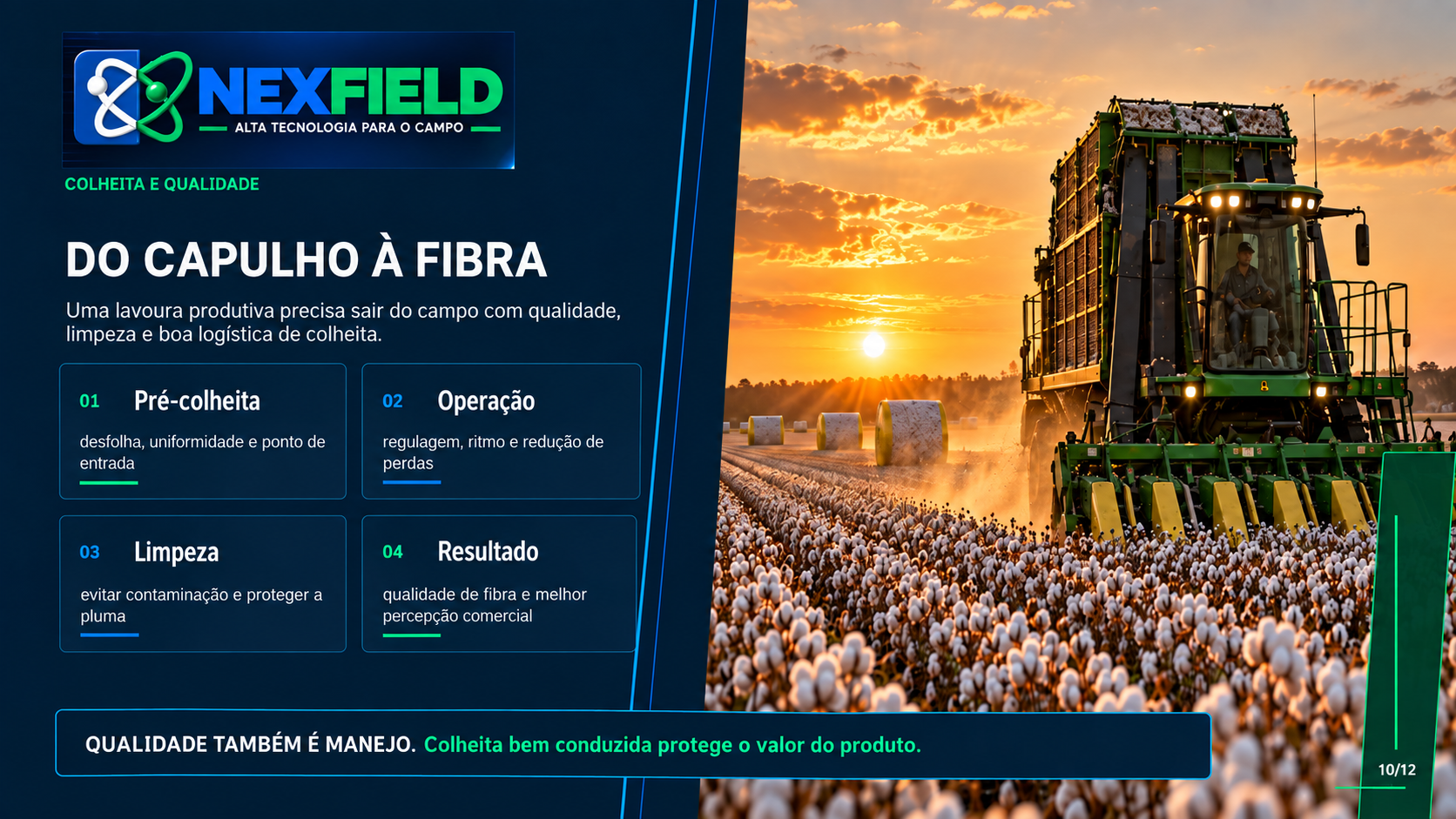 Consultoria em Algodão 10
