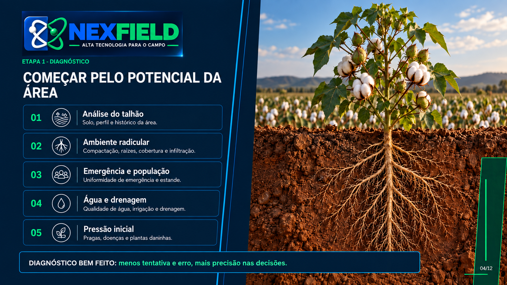 Consultoria em Algodão 4