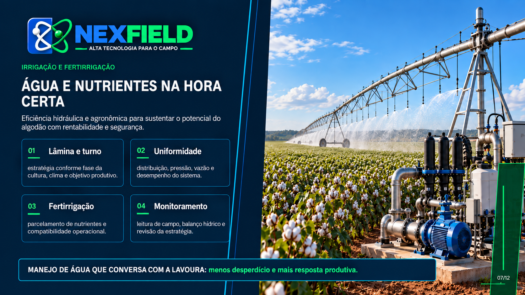 Consultoria em Algodão 7