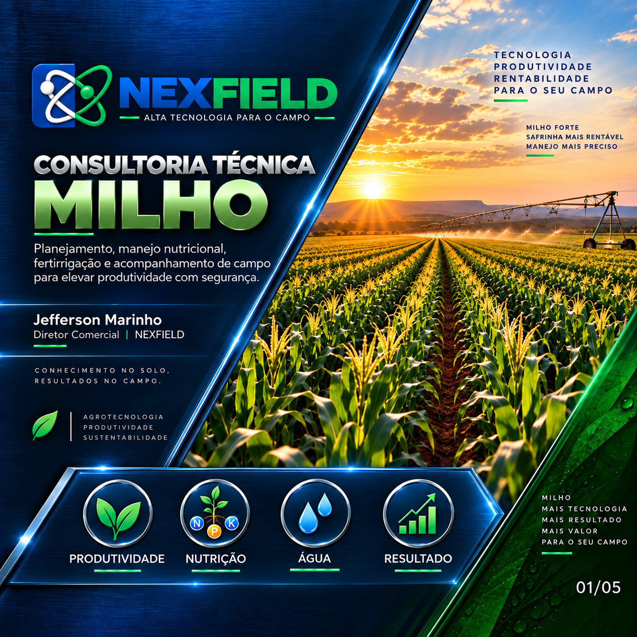 Consultoria em Milho
