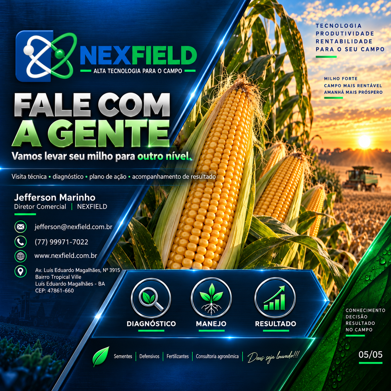 Consultoria em Milho 5