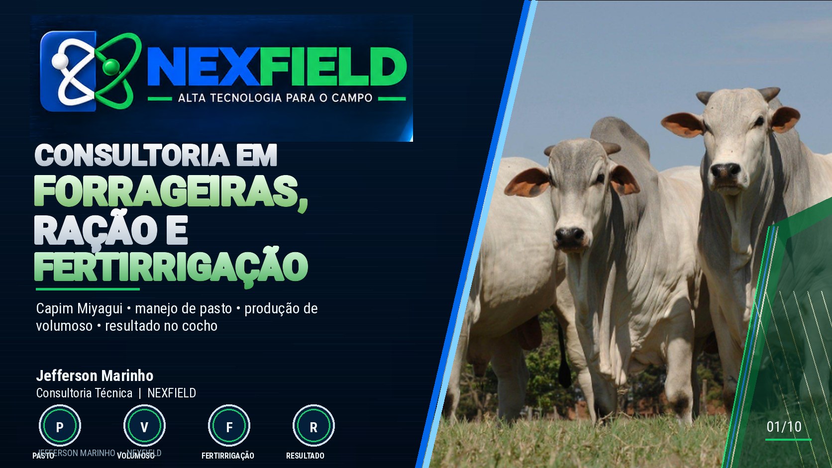 Consultoria em Pecuária