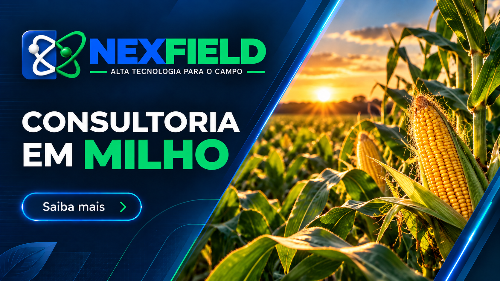 Consultoria em milho