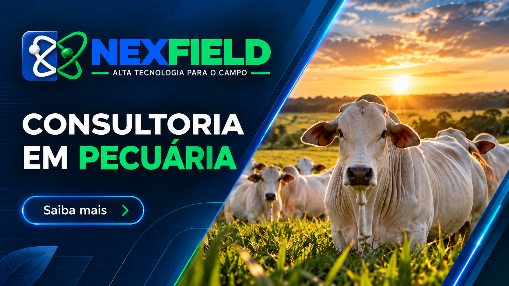 Consultoria em pecuária