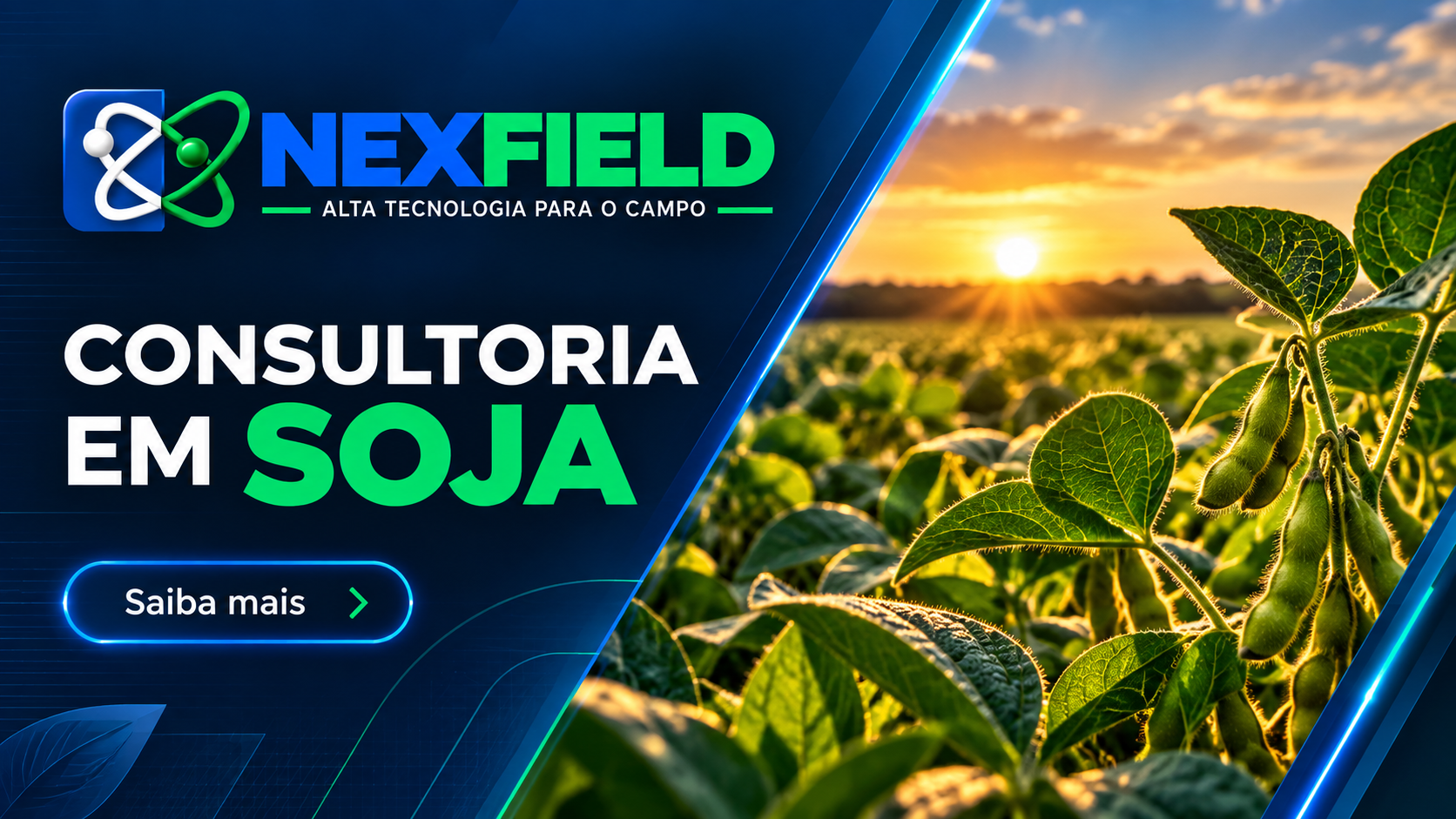 Consultoria em soja