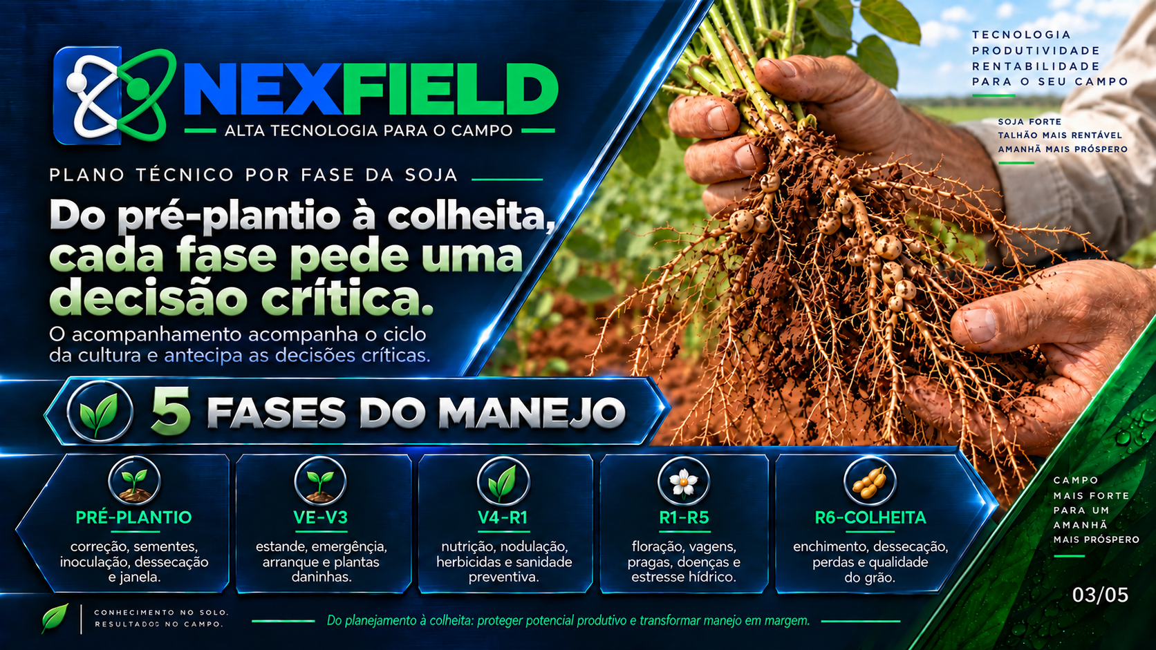 Consultoria em Soja 3