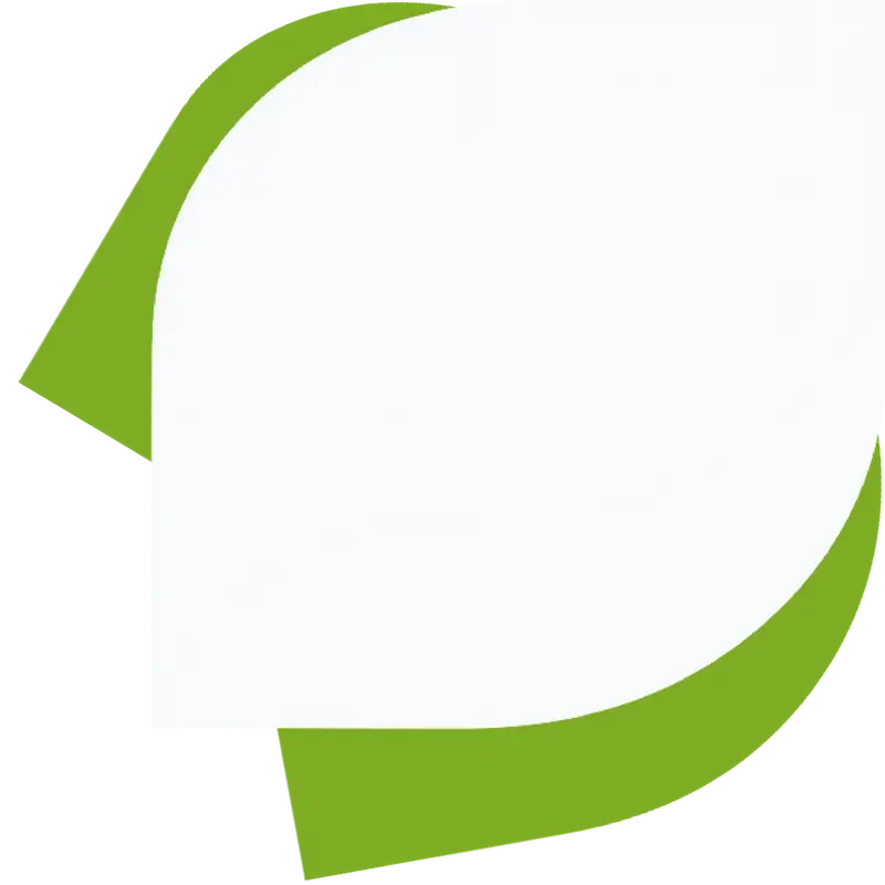 ícone