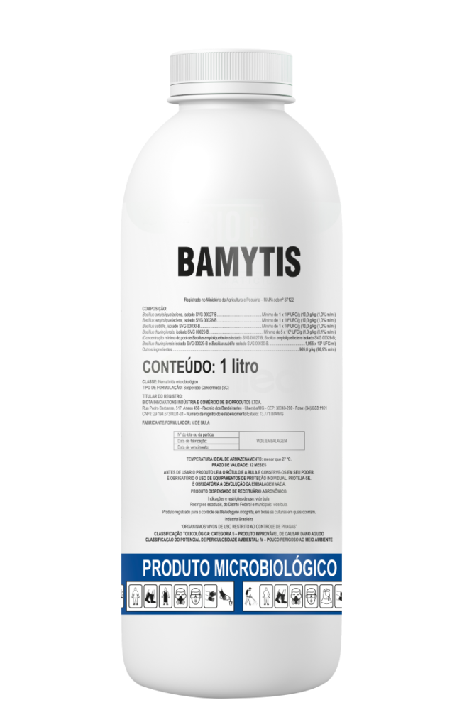 Bamytis