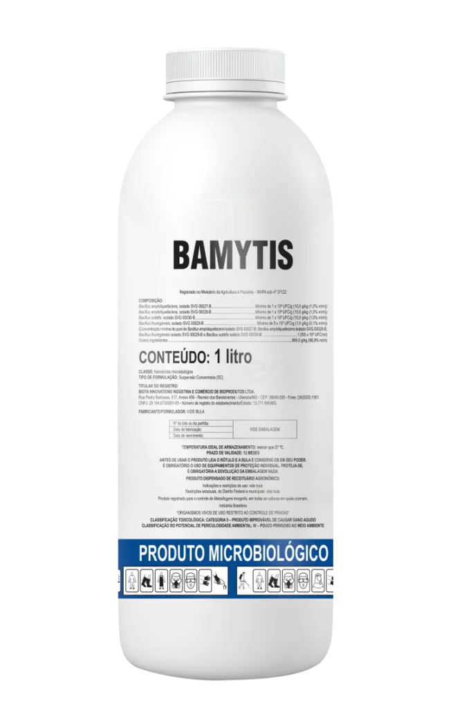 Bamytis